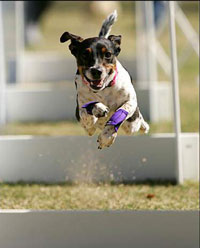 Photo by Sally H Frankel, 2008