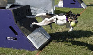 Photo by Sally H Frankel, 2008