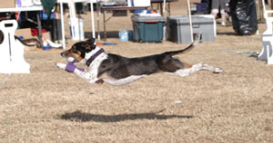 Photo by Sally H Frankel, 2008