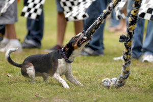 Anna on the end of a tug
