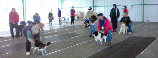 Anna with Cianna, Seeker and Fly