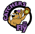 Catchers on The Fly